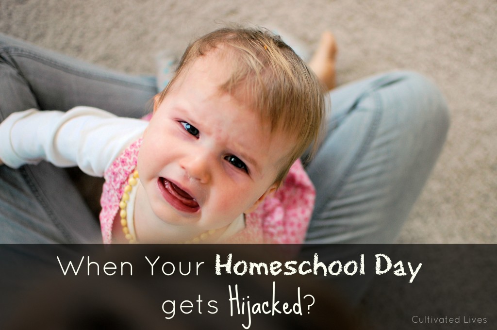 Finding perspective when your homeschool day gets hijacked...