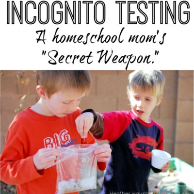 InCognito Testing: A Homeschool Mom’s Secret Weapon