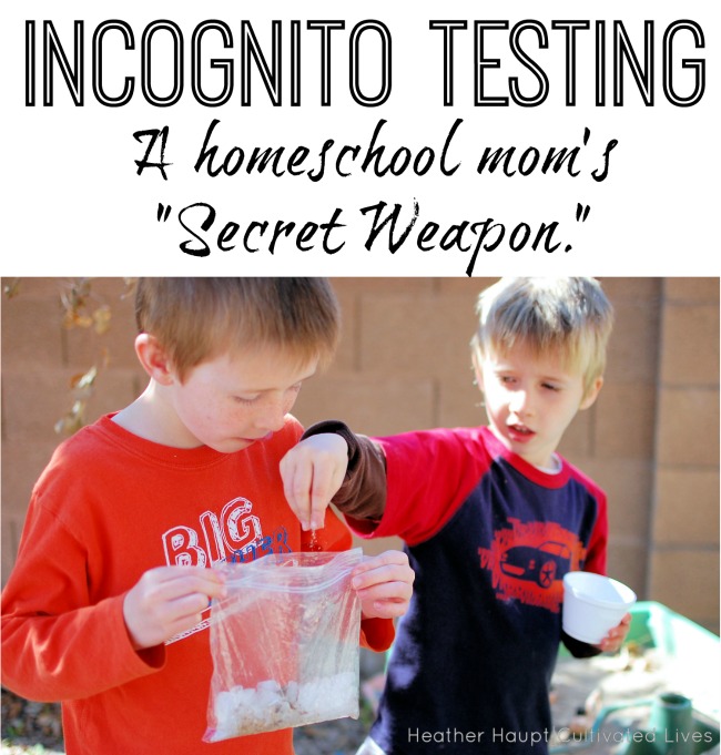 Incognito Testing: A Homeschool Mom's Secret Weapon - painless and FREE!