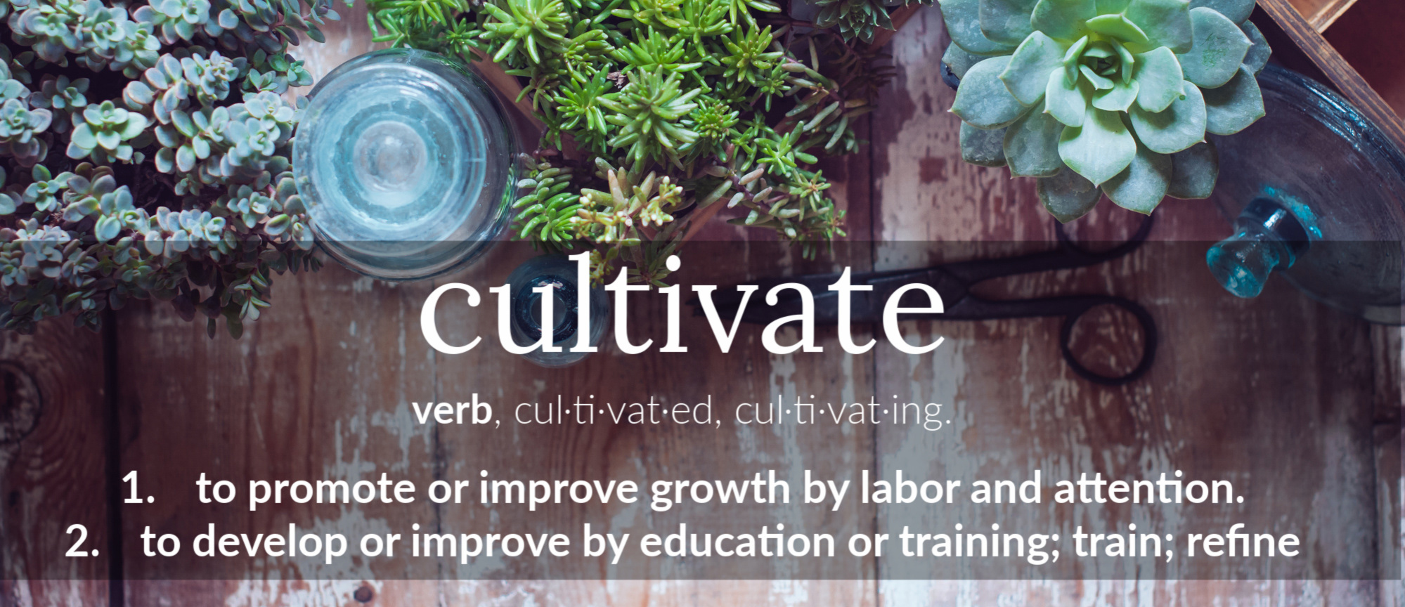 about-cultivated-learning