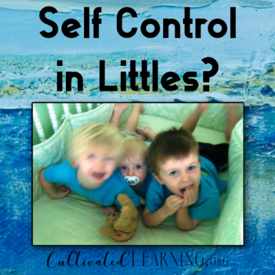 Cultivating Self-Control in Little Ones